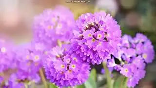 Нетипичное решение ...