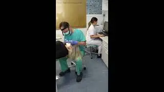 Dental consultation Part 1.