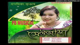 Seujiya || Pronamika Bhuyan || Assamese new song 2018