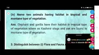 Name two animals having habitat in tropical and montane type of vegetation.