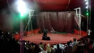 DESTA BROTHERS ICARIAN GAMES