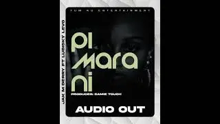 Pi Mara Ni - Jak M Derry Ft Lubisky Levo (Official Audio)
