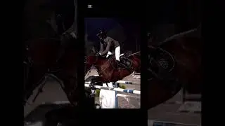 Chose Ur Show jumping Horse! 🤎🤍🤎 #showjumpers