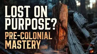 The Hidden Native American Wood Treatment That Made Timber Last Centuries