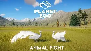 Every Albino Animal Fights in Planet Zoo - PART 2 - Planet Zoo Animal Fights