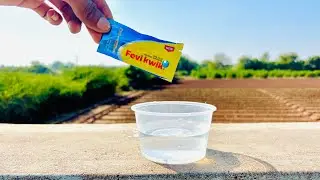 Don&rsquo;t Mix Fevikwik + Shampoo ||Shoking results 😱