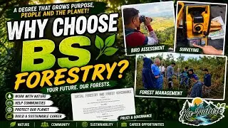 Why Choose BS Forestry?