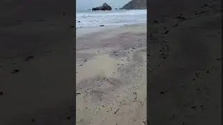 Pfeiffer Beach Big Sur CA..Is it worth visiting?  You decide!