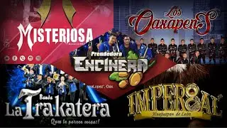 MIX M&Uacute;SICA MUERTERA CARNAVALERA 2019