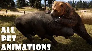 Far Cry 5 - All Animals (Revive & Pet Animations) (PC HD) [1080p60FPS]