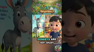 Did you know? Part 7. #didyouknow #funfacts #educational #learning #emymarkrhymes #animals #cartoon