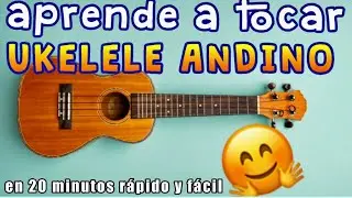 Aprende a tocar UKELELE ANDINO, curso fácil en 20 minutos.