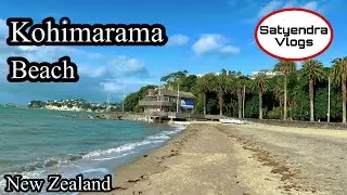 Kohimarama Beach!!2023