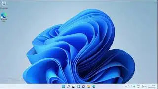 How to manually update Windows 11 (windows update)
