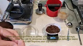 1. Morning coffee thoughts -  Checking the beans