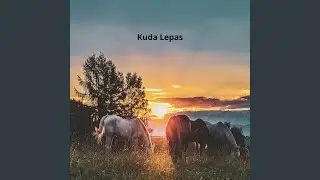 Kuda Lepas