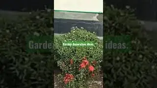 Gardening decoration ideas. Front garden design. #viral #viralvideo #gardening #design #shorts.
