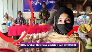 RRV Arakan Rohingya Update News 09/04/2025