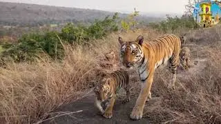 Damoh Madhya Pradesh popular place