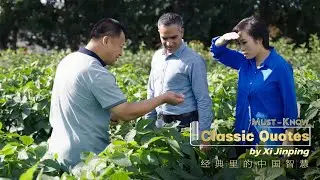 How Chinese scientists tackle soybean import dependency