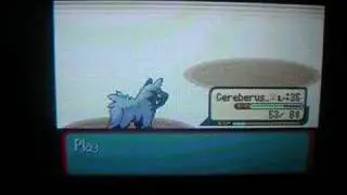 Pokemon Sapphire Poochyena Only Run; Brawly