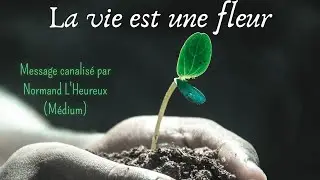 Conscience divine :la nature🌺🌻🌹🌷🌼