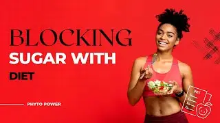 Blocking Sugar with Diet I How Phyto Power B Love Biome Can Help