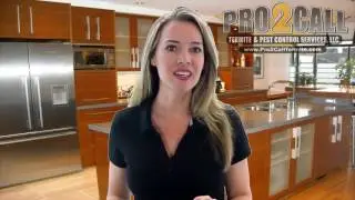 Best Exterminator Services Saint Petersburg