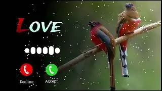 Best Mobile Ringtone 2026 | New Instrumental Ringtone 2026 | New Sad Ringtone 2026 |