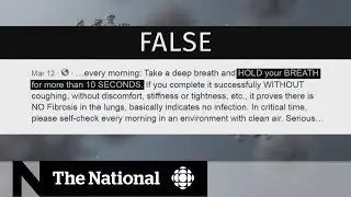 Debunking misinformation about COVID-19