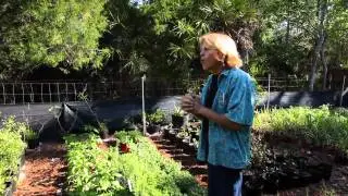 Local Producer Spotlight: Sundew Gardens Tour