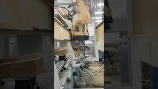 Master Wood 5 axis Cnc