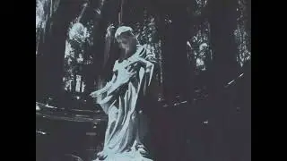 givelife - clear (Visualizer)