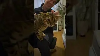 Помощница матери