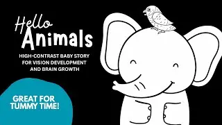 Hello Animals  | High Contrast Baby Story for Visual Development & Tummy Time