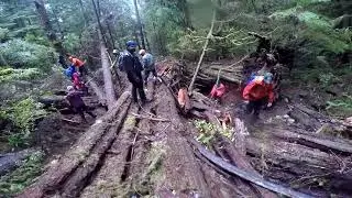 The Troubled Walbran Valley on Vancouver Island | Protect Old-Growth Rain-Forests