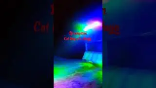DJ competition cat king Vs ahuja