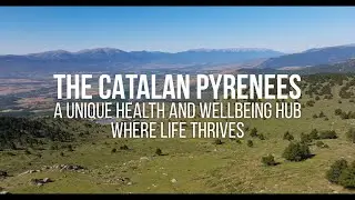 The Catalan Pyrenees : A unique health and wellebing hub where to live