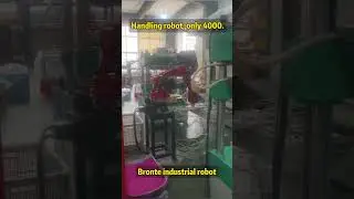 Bronte handling robot, only for 10000.#machine #factory #industry #robot #vietnam