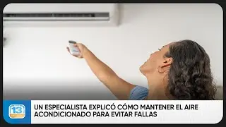 Un especialista explic&oacute; c&oacute;mo mantener el aire acondicionado para evitar fallas