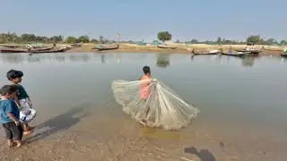 Net Fishing Video - Very Amazing Skill Cast Net Fishing In River - Best Net Fishing