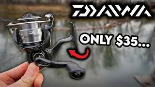 Daiwa Crossfire LT Review: I Can't Believe This Fishing Reel Exists...