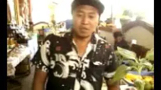 Introduction to Ubud Organic Market