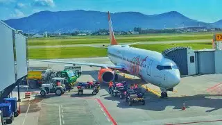 GOL | 737-800 | Florianópolis(FLN) - São Paulo(GRU)(G31245)(Novo Terminal)