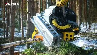 KESLA 25RH-II harvester head and Hitachi excavator