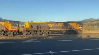 Tasrail TR03 TR08 TR06 #35 train Brighton Hub