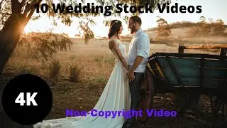 Top 10 Free Wedding Stock Videos | Royalty- Free Videos| HD Video | 4K Video | Non-Copyright Videos