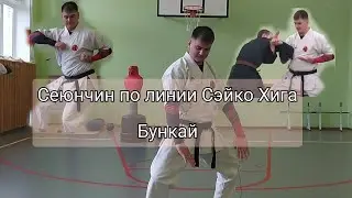 Ката сеюнчин в карате годзю рю линии Сэйко Хига. Один из вариантов исполнения ката.