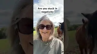 How to realign your thoughts & emotions #personalchange #powerfulyou #equinetherapy