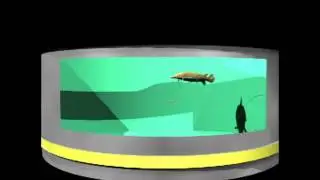 Tracking Alligator Gar in Real-Time 3D with Acoustic Telemetry